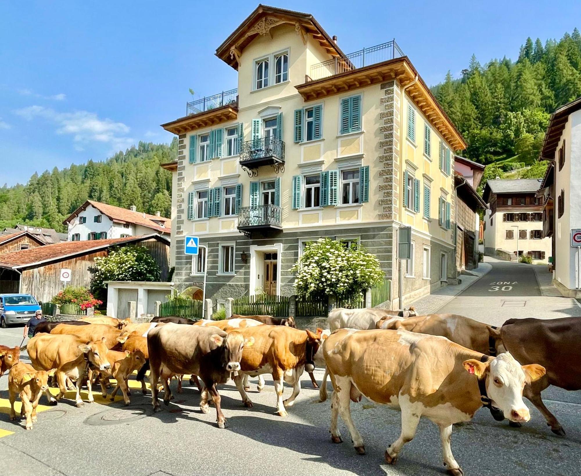B&B La Scala Trin Eksteriør billede